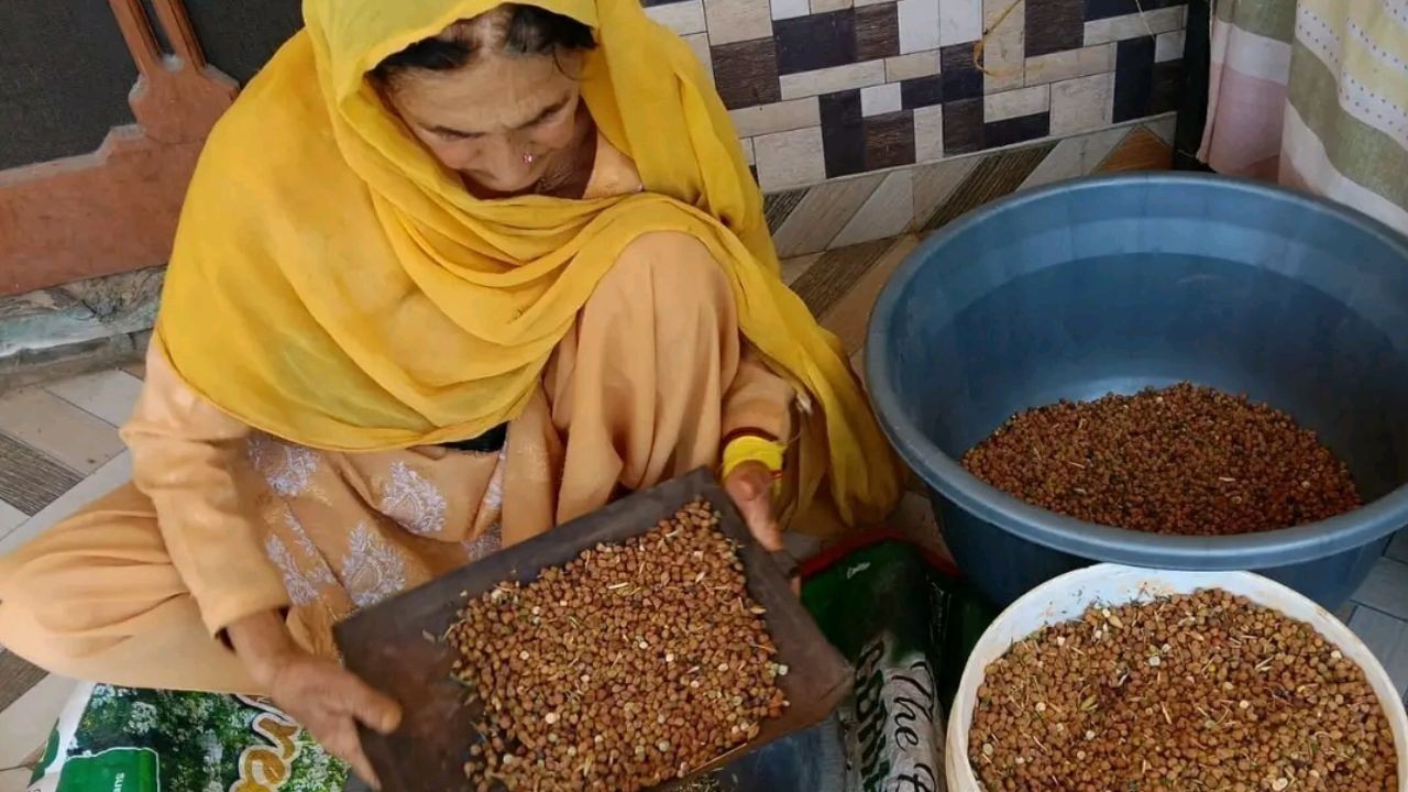 प्राकृतिक खेती से हरनेड़ के किसान ने चने की शानदार पैदावार हासिल की