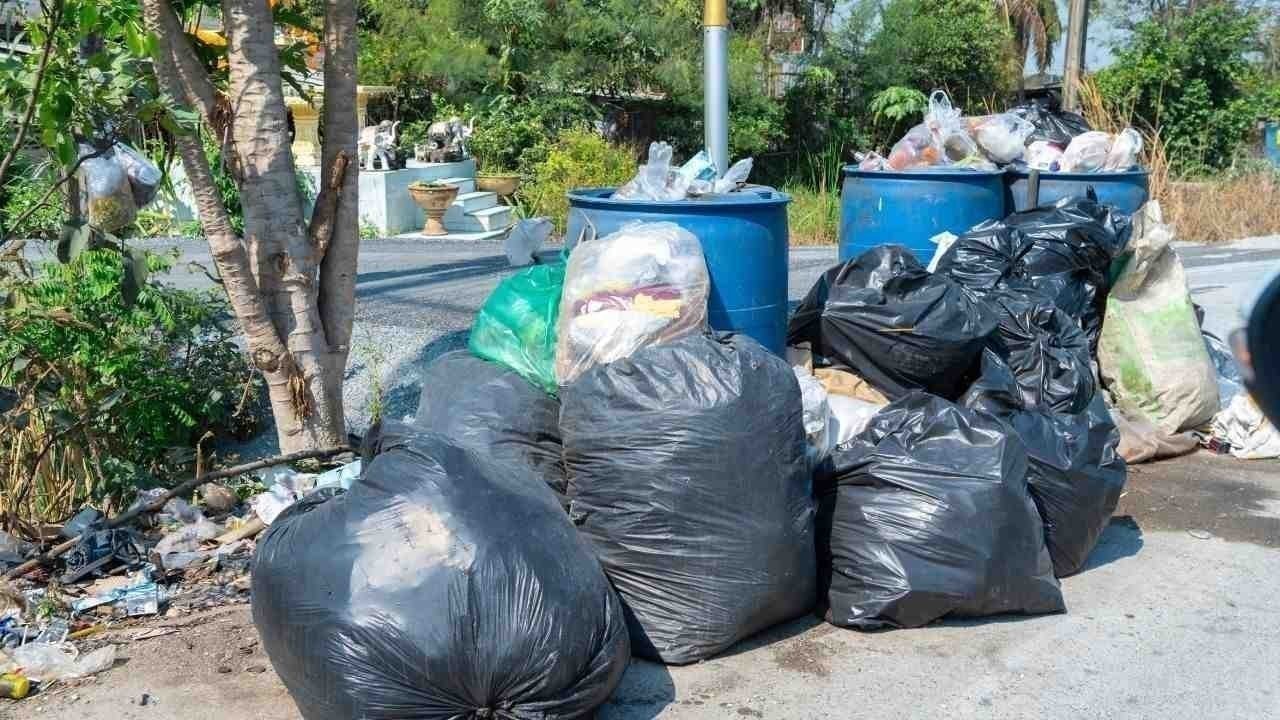 सफाई कर्मचारियों की हड़ताल से शिमला के पर्यटन स्थलों पर लगे कूड़े के ढेर
