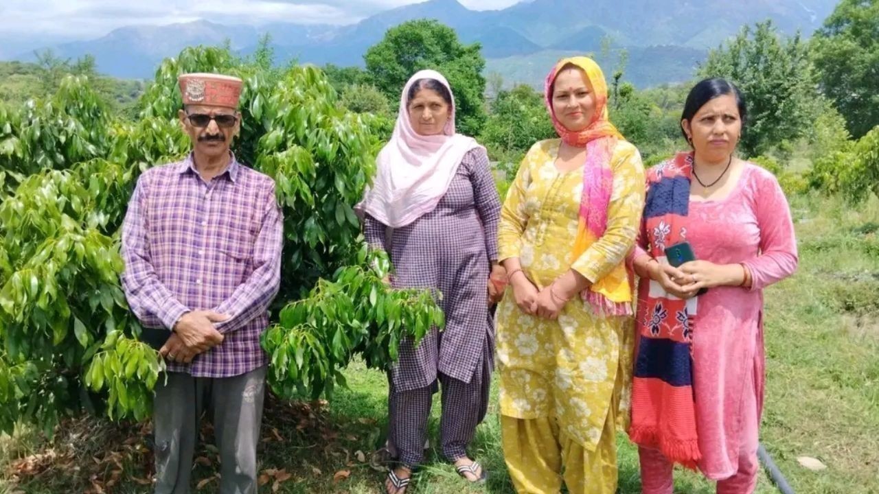 स्वयं सहायता समूहों की महिलाओं ने ब्राह्मी खेती से आर्थिक मजबूती हासिल की