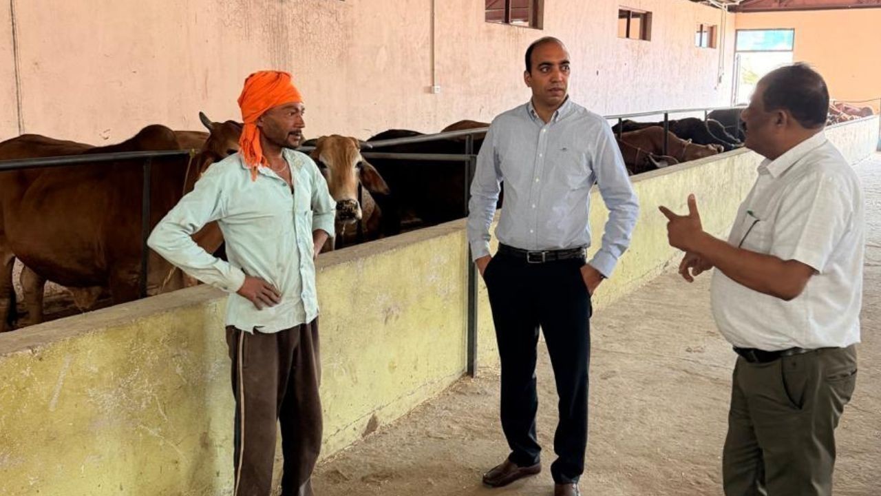 पालमपुर में बेसहारा गौवंश को गौशालाओं तक पहुंचाने के लिए प्रशासन सक्रिय