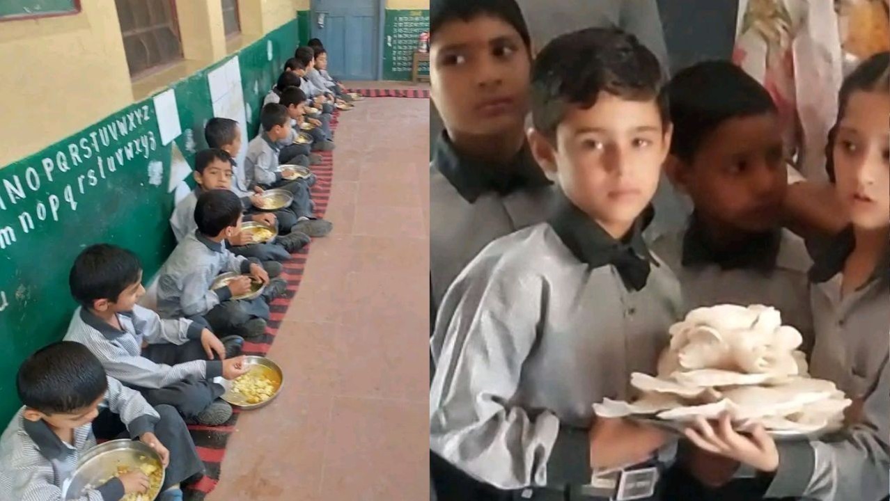 स्कूल के बच्चों ने उगाए मशरूम, फिर खुद ही खाया अपनी मेहनत का फल