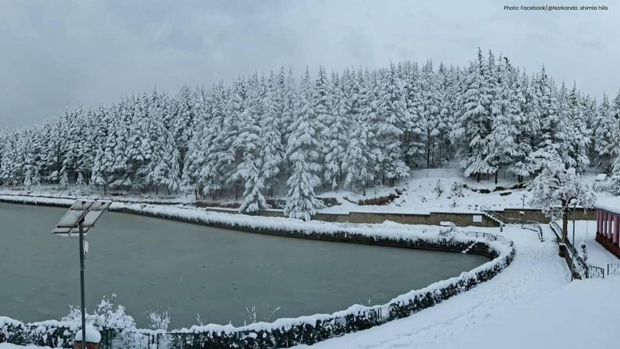 Narkanda Valley: हिमाचल की शांत वादियों में बसा सेबों, बर्फ और देवदार का खूबसूरत संसार