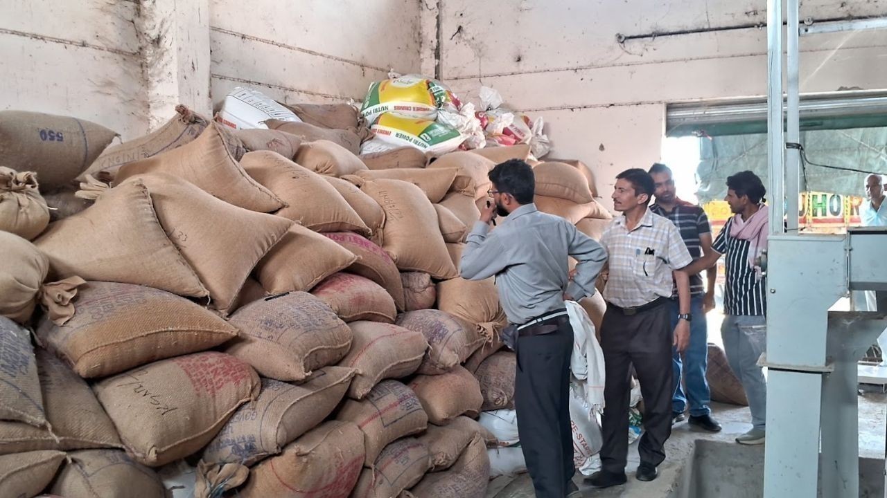 प्राकृतिक खेती से किसानों की बढ़ेगी आय? कांगड़ा में सरकार ने 80 रुपये प्रति किलो पर खरीदा गेहूं