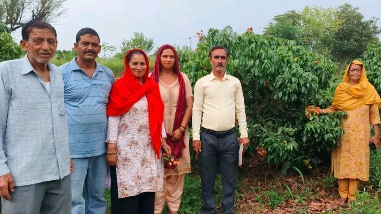 एचपी शिवा परियोजना से बदली खेती की दिशा, बिलासपुर के किसानों को मिला बड़ा फायदा