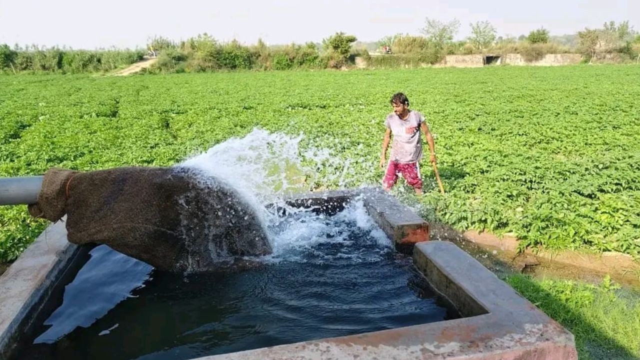 ऊना के 41 हजार किसान डिजिटल रजिस्ट्री से जुड़े, अब सरकारी योजनाएं होंगी और आसान