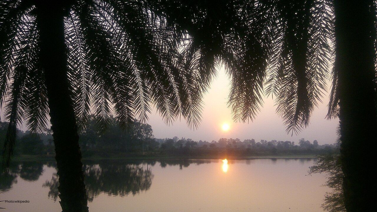 Saurabh Van Vihar Palampur: Captain Saurabh Kalia की याद में बना Kangra का खूबसूरत nature park