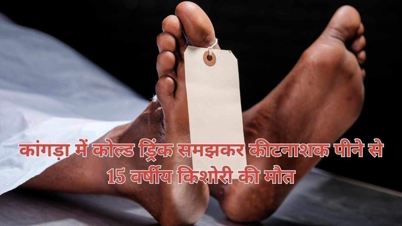 कांगड़ा में कोल्ड ड्रिंक समझकर कीटनाशक पीने से 15 वर्षीय किशोरी की मौत