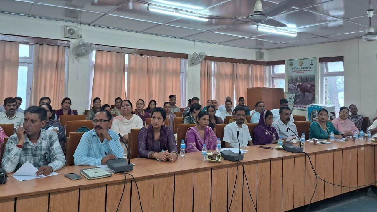 पालमपुर विकास कार्यों की विधायक आशीष बुटेल ने की समीक्षा, दिए निर्देश