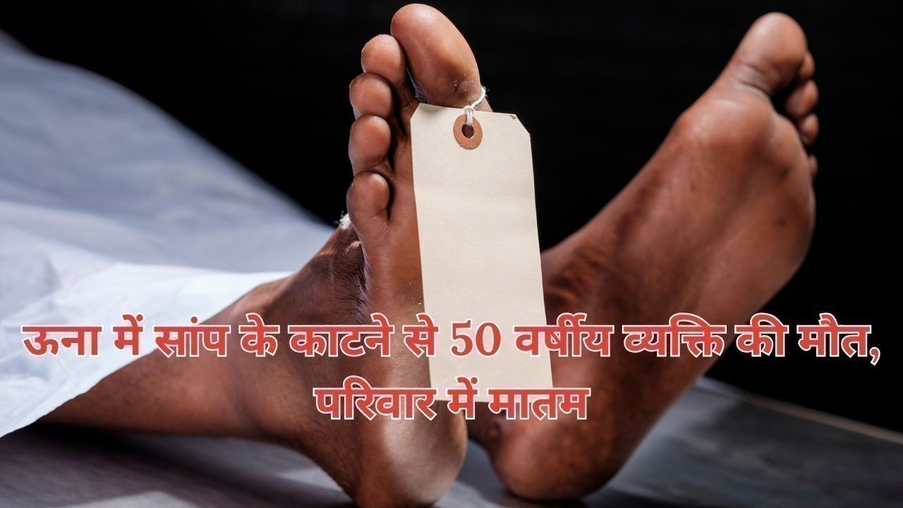 ऊना में सांप के काटने से 50 वर्षीय व्यक्ति की मौत, परिवार में मातम