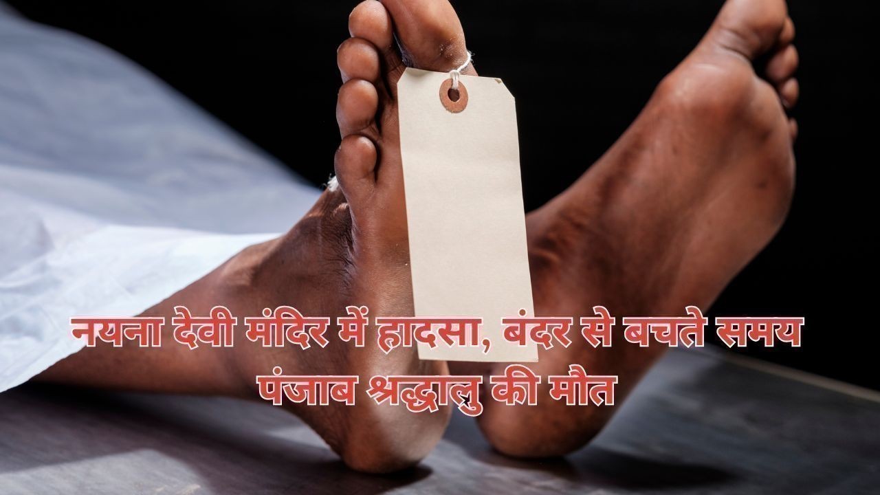 नयना देवी मंदिर में हादसा, बंदर से बचते समय पंजाब श्रद्धालु की मौत