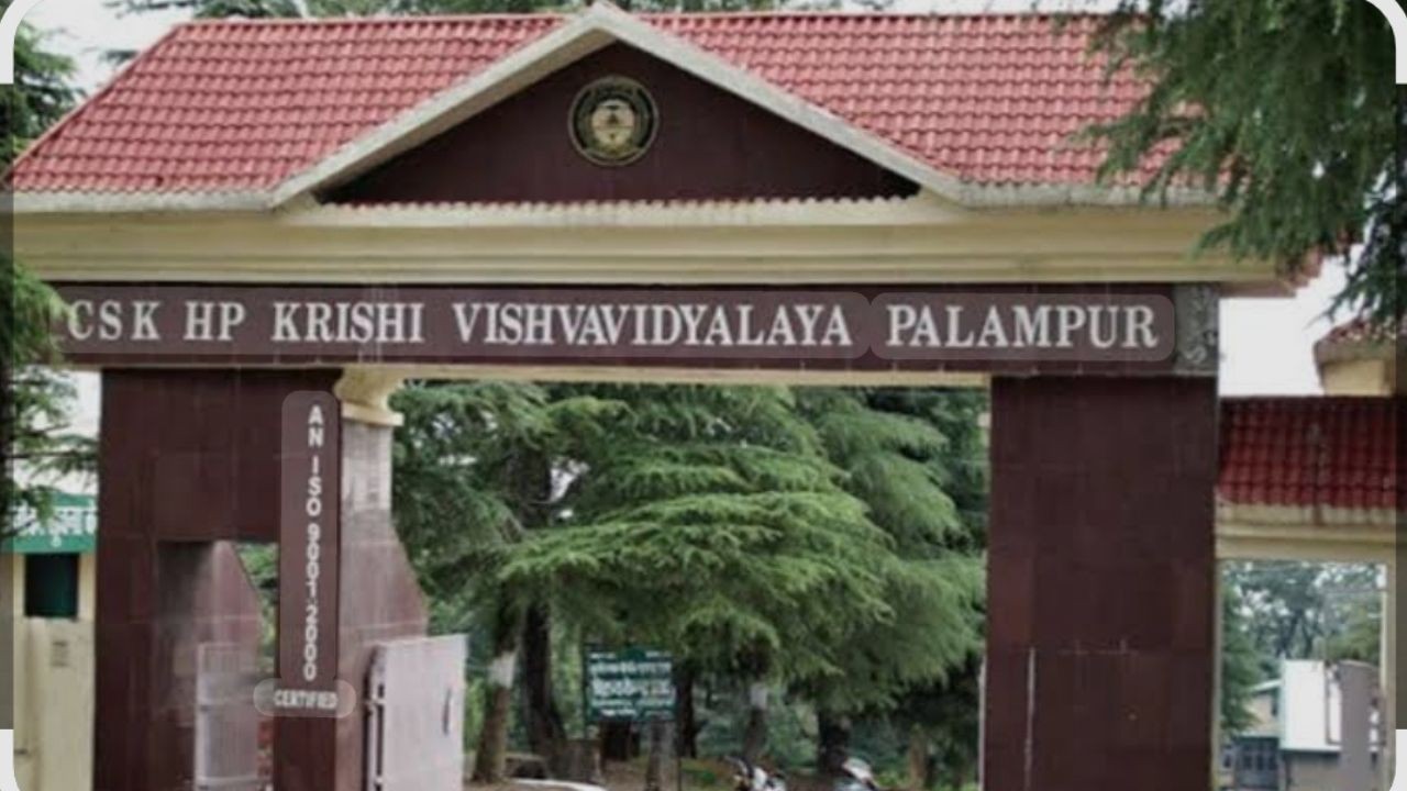 कृषि विश्वविद्यालय पालमपुर में पेंशन का इंतजार, बुजुर्ग पेंशनरों में रोष