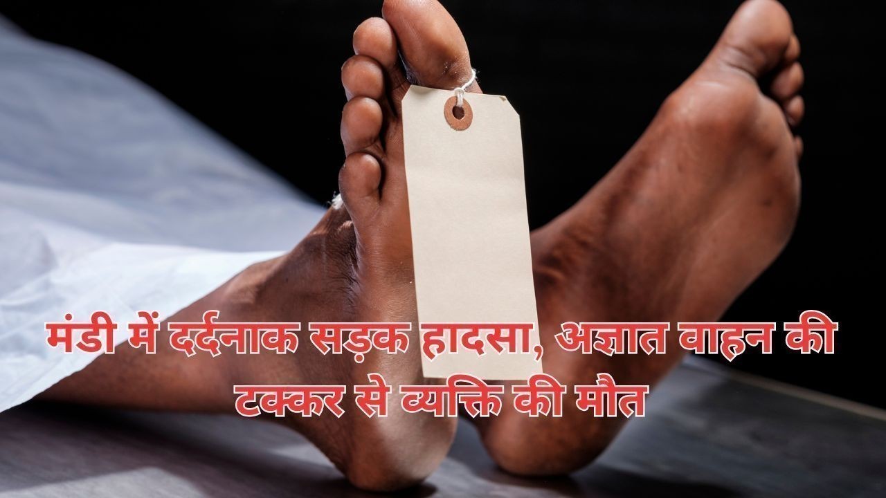 मंडी में दर्दनाक सड़क हादसा, अज्ञात वाहन की टक्कर से व्यक्ति की मौत