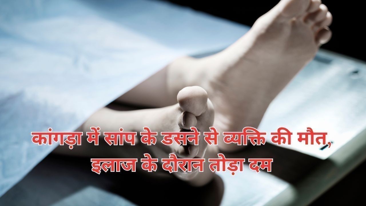 कांगड़ा में सांप के डसने से व्यक्ति की मौत, इलाज के दौरान तोड़ा दम