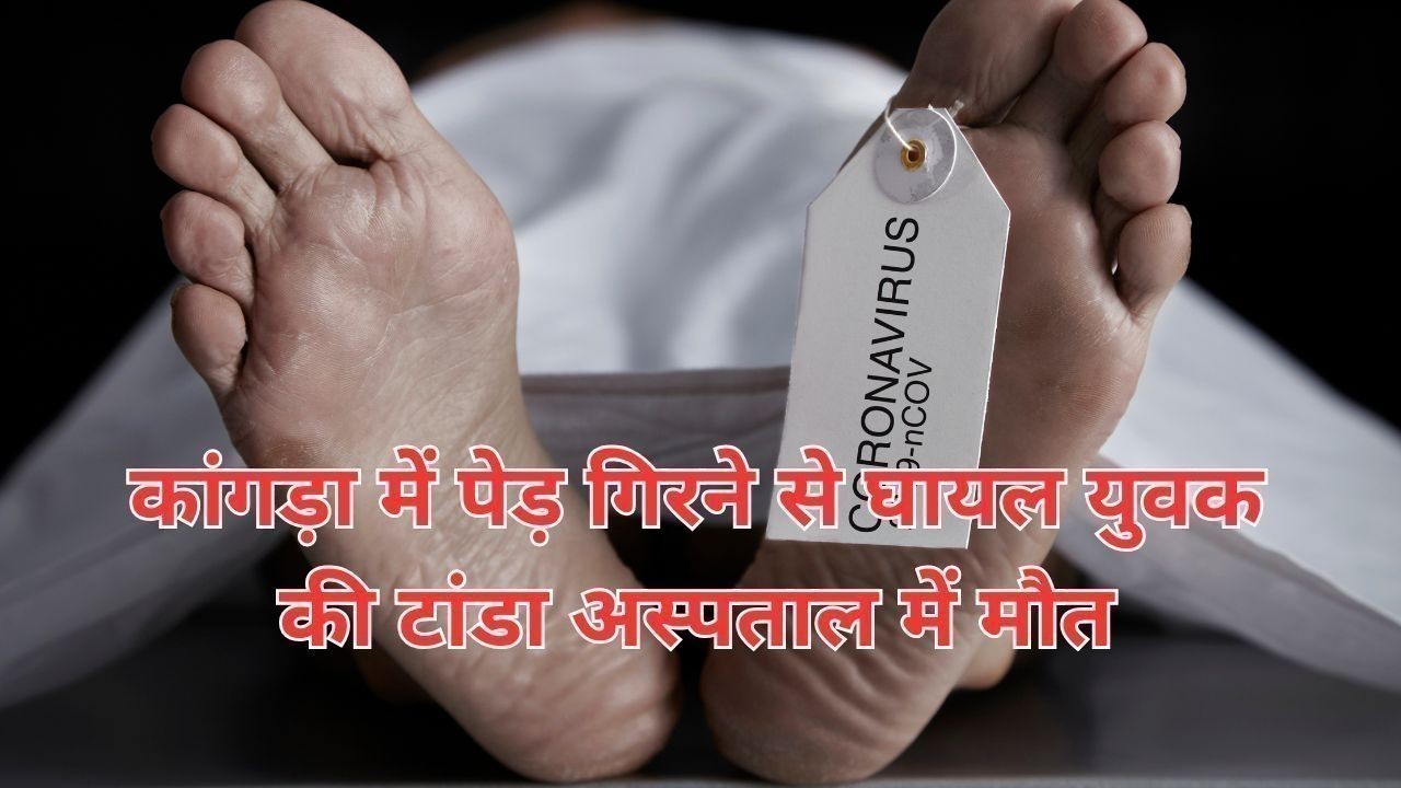 कांगड़ा में पेड़ गिरने से घायल युवक की टांडा अस्पताल में मौत