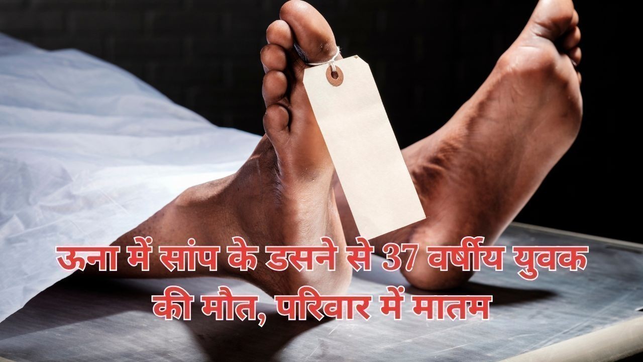 ऊना में सांप के डसने से 37 वर्षीय युवक की मौत, परिवार में मातम
