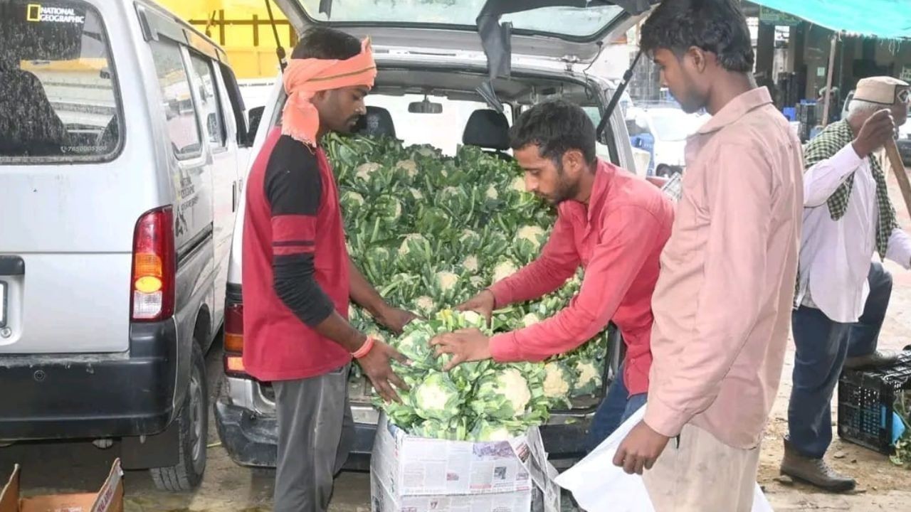 बेमौसमी सब्जियों से कुल्लू के किसानों की आय में बढ़ोतरी