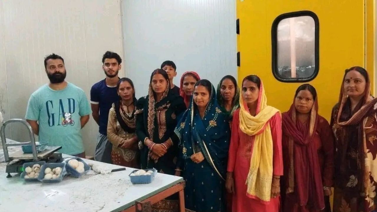 बैंक की नौकरी छोड़ मशरूम उत्पादन से सफल बने प्रणव धर