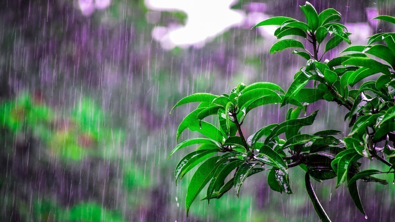 हिमाचल के तीन जिलों में भारी बारिश का अलर्ट, मौसम विभाग ने चेताया