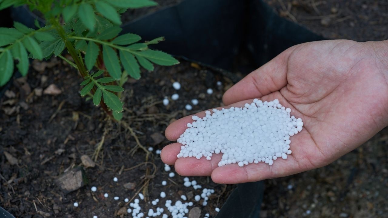 हिमाचल में नैनो यूरिया की जबरन बिक्री पर सरकार सख्त, डीलरों को चेतावनी
