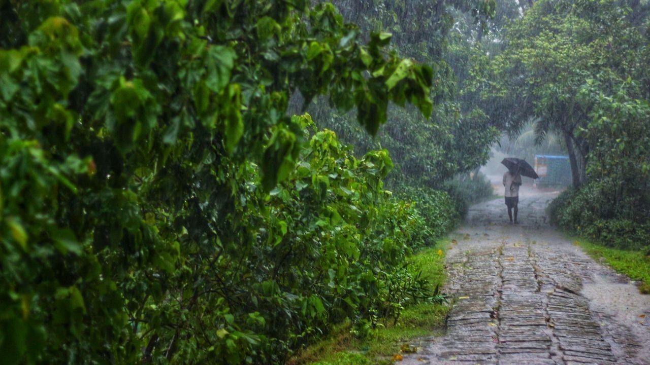 हिमाचल में भारी बारिश का खतरा, तीन जिलों में यलो अलर्ट