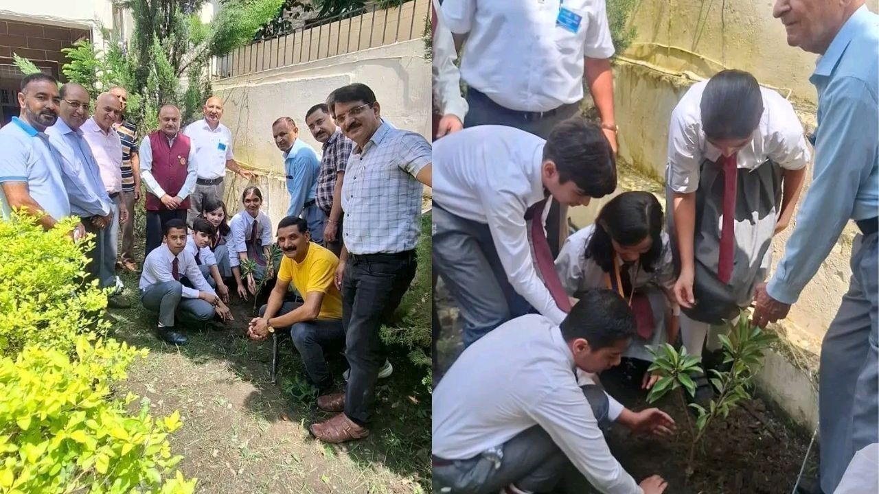 रोटरी क्लब हमीरपुर ने पौधारोपण के साथ गठित किया इंटरैक्ट क्लब, जरूरतमंद कन्या के विवाह में भी की मदद