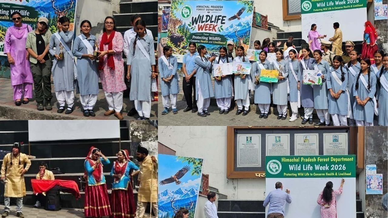 वन्यजीव हमारे पारिस्थितिकी तंत्र का महत्वपूर्ण हिस्सा, संरक्षण हमारा कर्तव्य: बासु कौशल