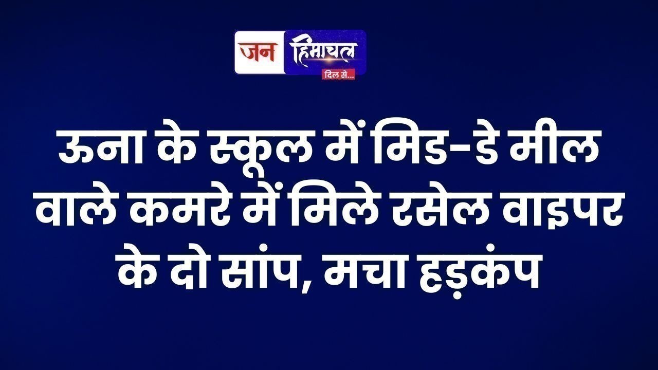 ऊना के स्कूल में मिड-डे मील वाले कमरे में मिले रसेल वाइपर के दो सांप, मचा हड़कंप