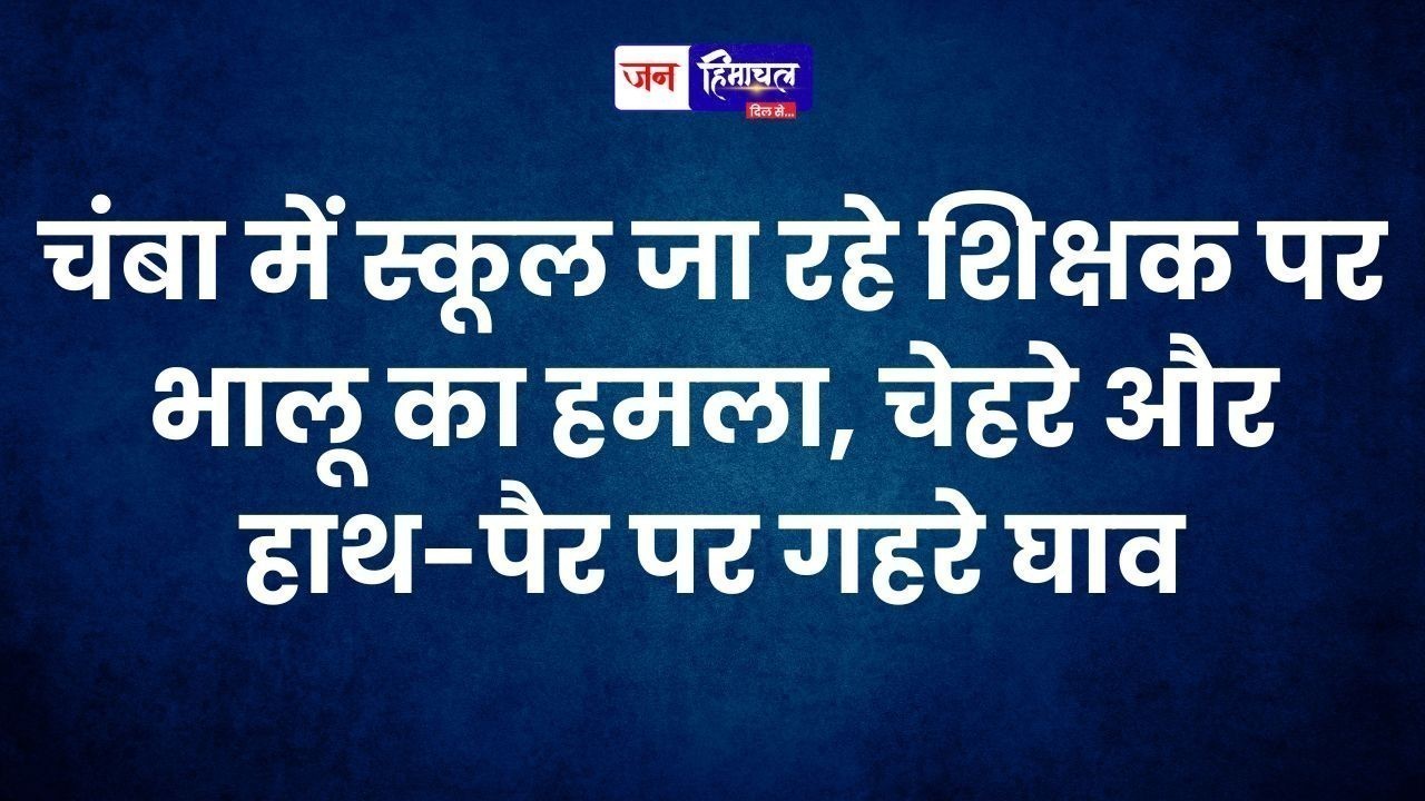 चंबा में स्कूल जा रहे शिक्षक पर भालू का हमला, चेहरे और हाथ-पैर पर गहरे घाव