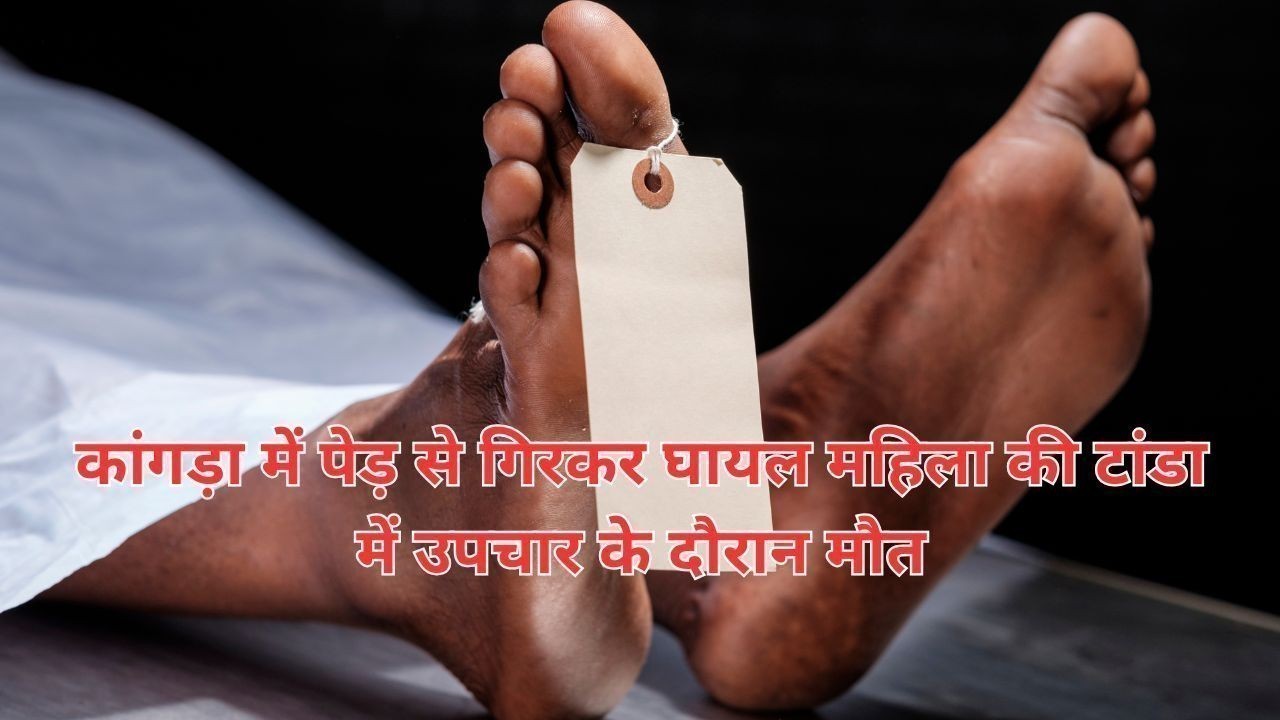 कांगड़ा में पेड़ से गिरकर घायल महिला की टांडा में उपचार के दौरान मौत